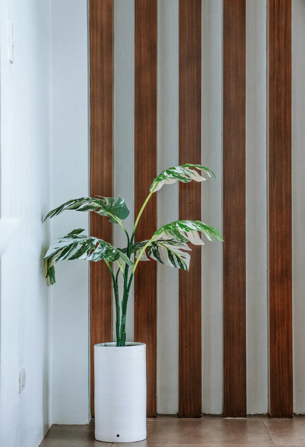 Minimalist Urban Home
